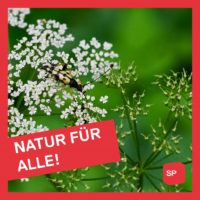 Natur für alle! – ein Slogan für den 1. Mai